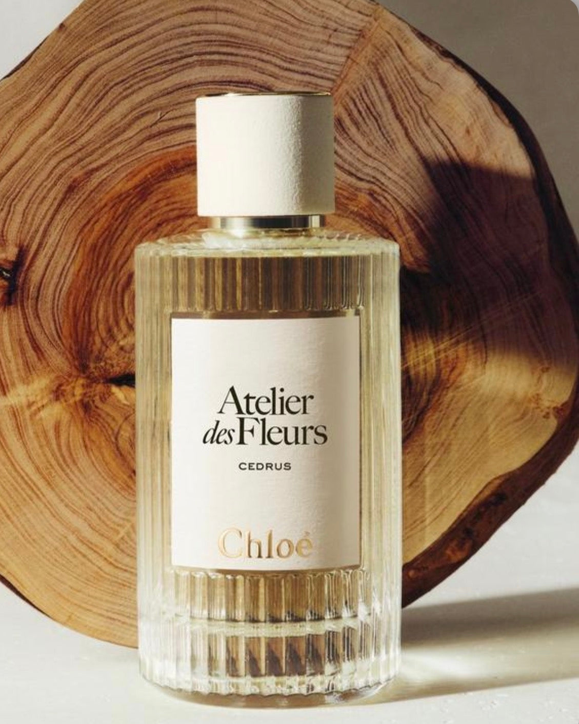 Chloé Atelier des Fleurs Cedrus