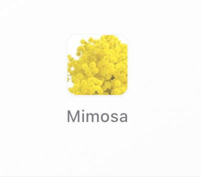 Chloé Atelier des Fleurs Herba Mimosa Eau de Parfum – 150ml | Brand New Sealed