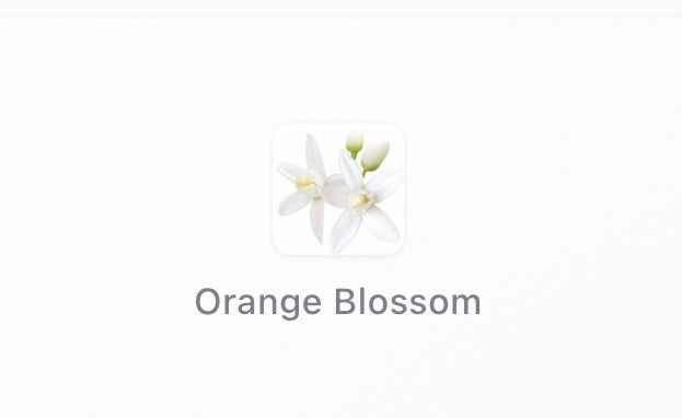 Chloé Atelier des Fleurs Neroli – 150ml (Brand New, Sealed)