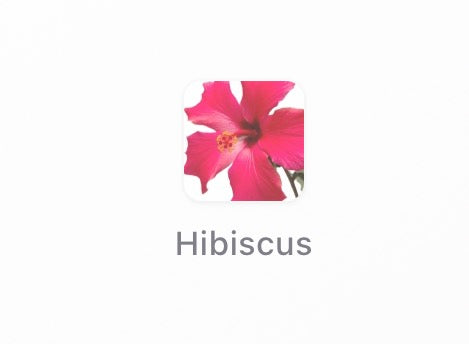 Chloé Atelier des Fleurs Hibiscus Abelmoschus Eau de Parfum – 50ml (Brand New in Box)